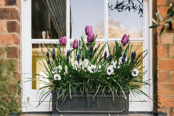 2048-1365-andrew-maybury-6