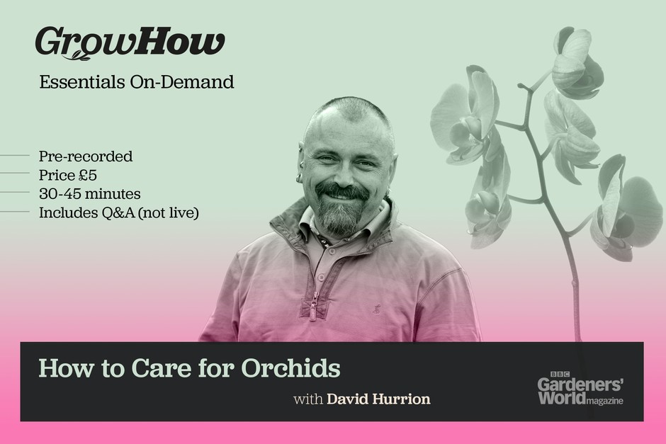 Essentials On-Demand: Orchid Care Essentials On-Demand: Orchid Care