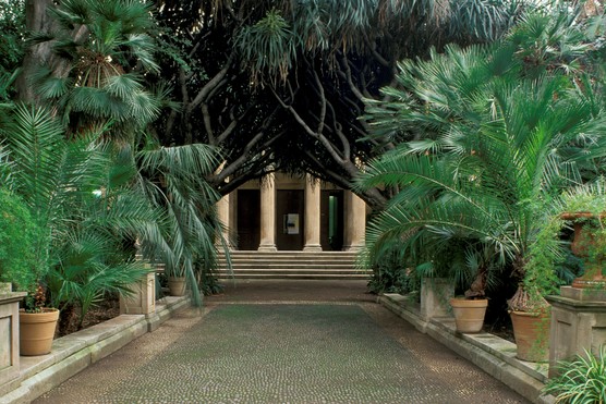 The Botanical Garden of Catania has a diverse collection of palm trees. Getty images