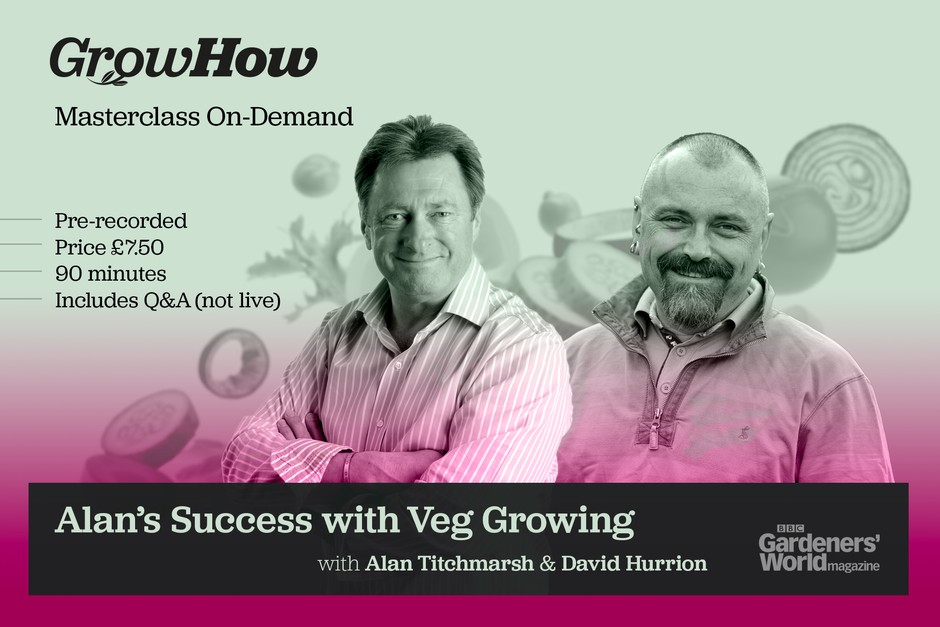 Masterclass On-Demand: Alan's Success with Veg Growing Masterclass On-Demand: Alan's Success with Veg Growing