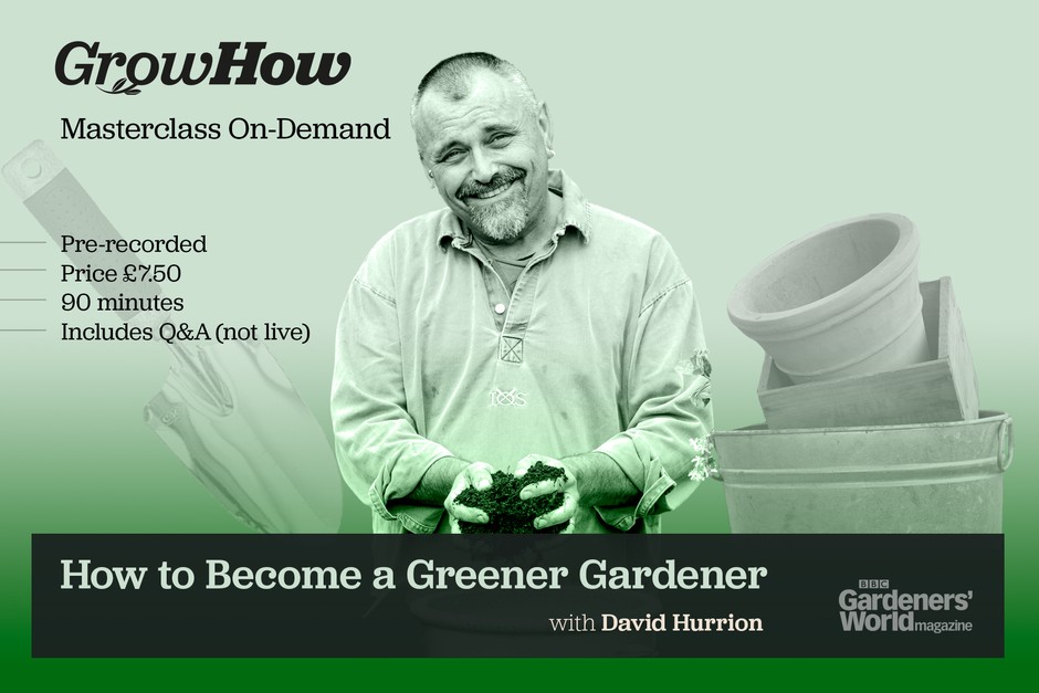 Masterclass On-Demand: How to Become a Greener Gardener Masterclass On-Demand: How to Become a Greener Gardener