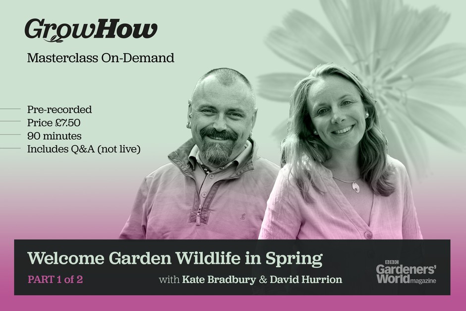 Wildlife Masterclass On-Demand Wildlife Masterclass On-Demand