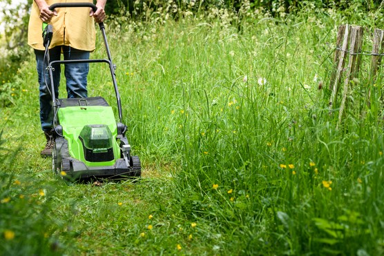 Mowing a path through wild lawn. Jason Ingram