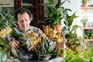 Monty repotting moth orchid 'Lad Vegas' Monty repotting moth orchid 'Lad Vegas'