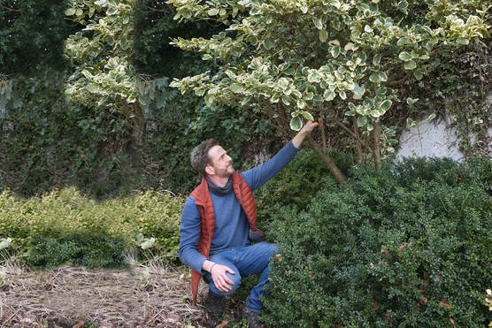 Nick Bailey with shrub Nick Bailey with shrub