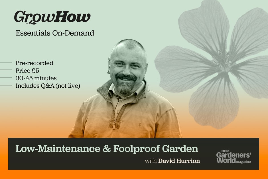 Essentials class On-Demand: Low-Maintenance Plants for a Foolproof Garden Essentials class On-Demand: Low-Maintenance Plants for a Foolproof Garden