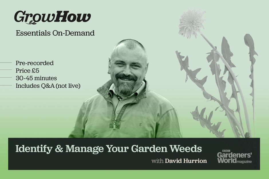 On-Demand Essentials: Know & Manage Your Garden Weeds On-Demand Essentials: Know & Manage Your Garden Weeds