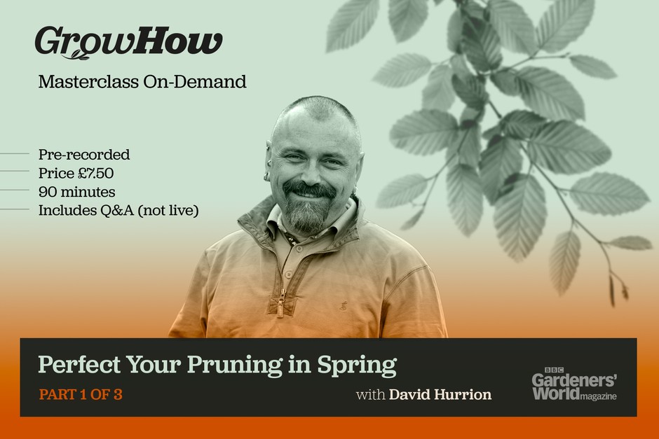 On-Demand Masterclass: Pruning in Spring On-Demand Masterclass: Pruning in Spring
