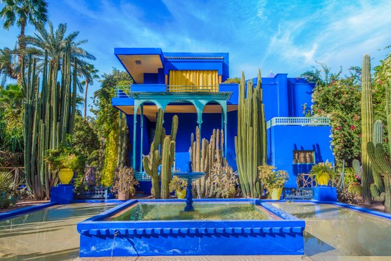 Jardin Majorelle, Morocco. Getty images
