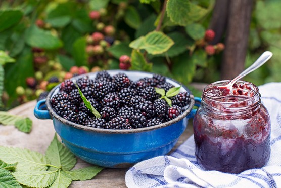 Blackberries for jam. Getty Images