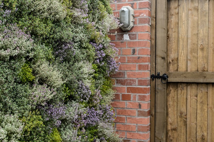 Green wall including herbs. designed by Peter Cowell and Monty Richardson Green