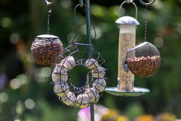 Bird feeding station