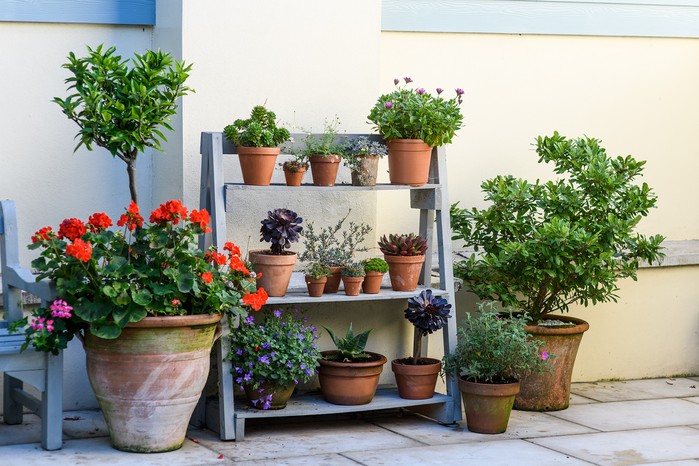 Using staging to fit more containers in a small space Using staging to fit more containers in a small space