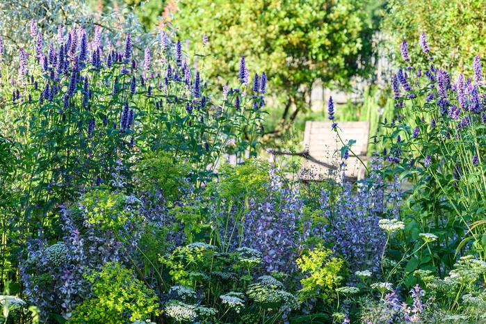 Use cooler colours to make a garden look bigger Use cooler colours to make a garden look bigger