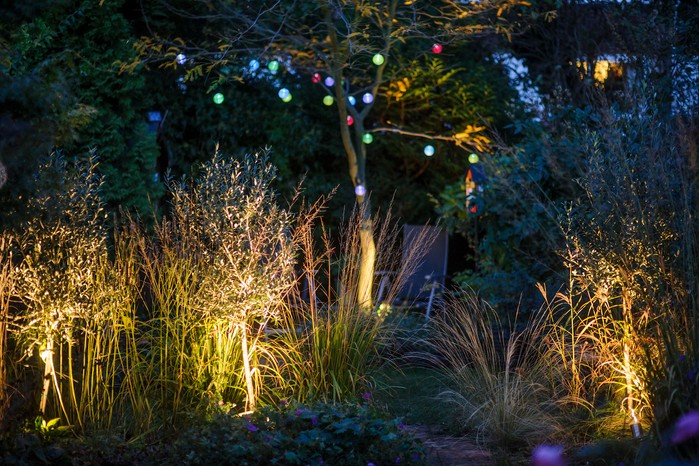 Lanterns and spot lights highlight trees and grasses Lanterns and spot lights highlight trees and grasses