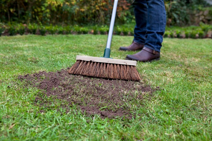 Brushing top dressing into the lawn Brushing top dressing into the lawn
