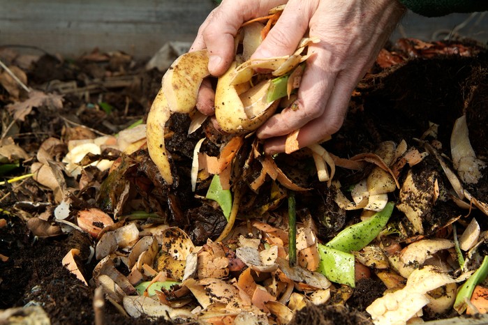 Adding kitchen scraps to a compost heap. Tim Sandall Adding kitchen scraps to a compost heap. Tim Sandall