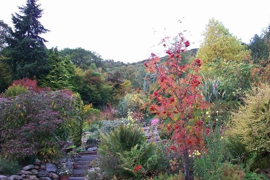 Abriachan Gardens Abriachan Gardens