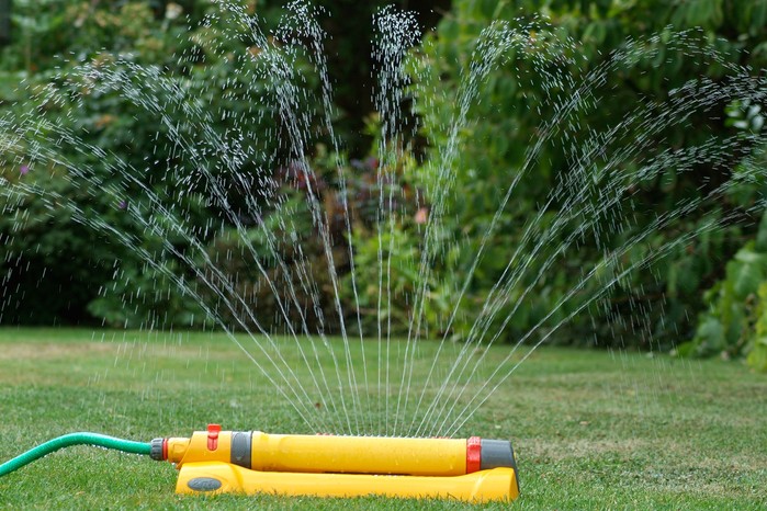 Lawn sprinkler in action Lawn sprinkler in action