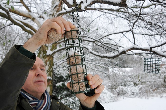Feeding birds in winter Feeding birds in winter