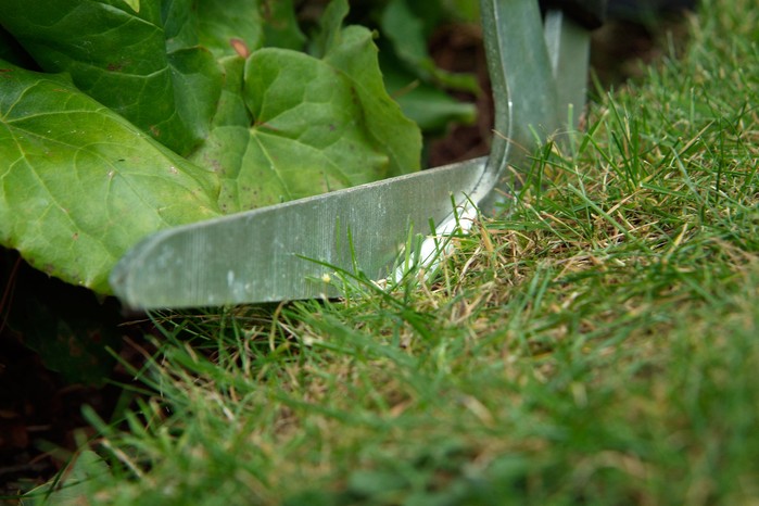 Tidying lawn edges with edging shears Tidying lawn edges with edging shears