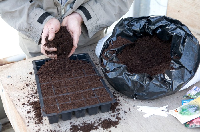 Adding peat-free seed compost to a modular tray. Sarah Cuttle Adding peat-free seed compost to a modular tray. Sarah Cuttle