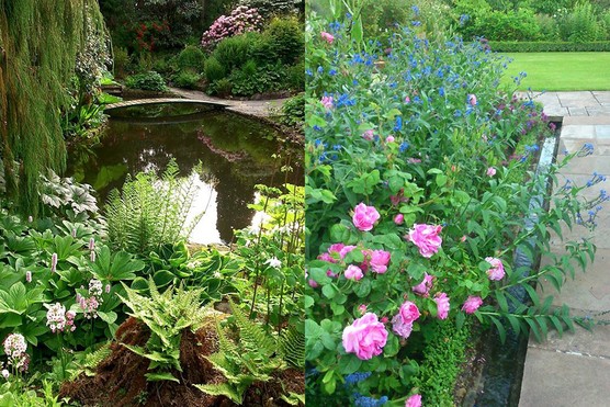 Bide-a-Wee Cottage Gardens Bide-a-Wee Cottage Gardens