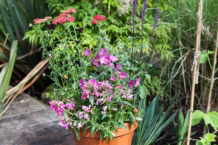 Wildlife pot Wildlife pot