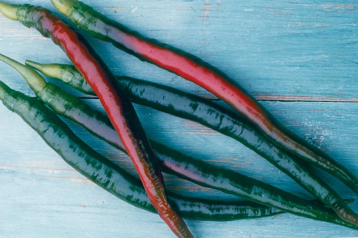 How to grow chillies - harvested chillies How to grow chillies - harvested chillies