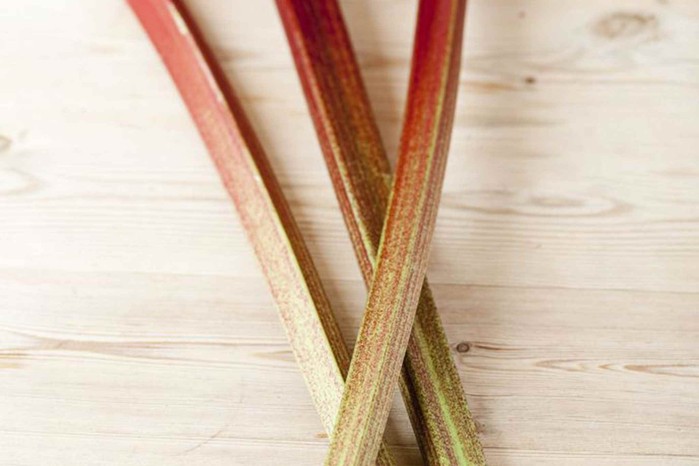 Rhubarb 'Timperley Early' Rhubarb 'Timperley Early'