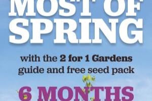 GW241_Feb26_BrandsiteNative_300x600