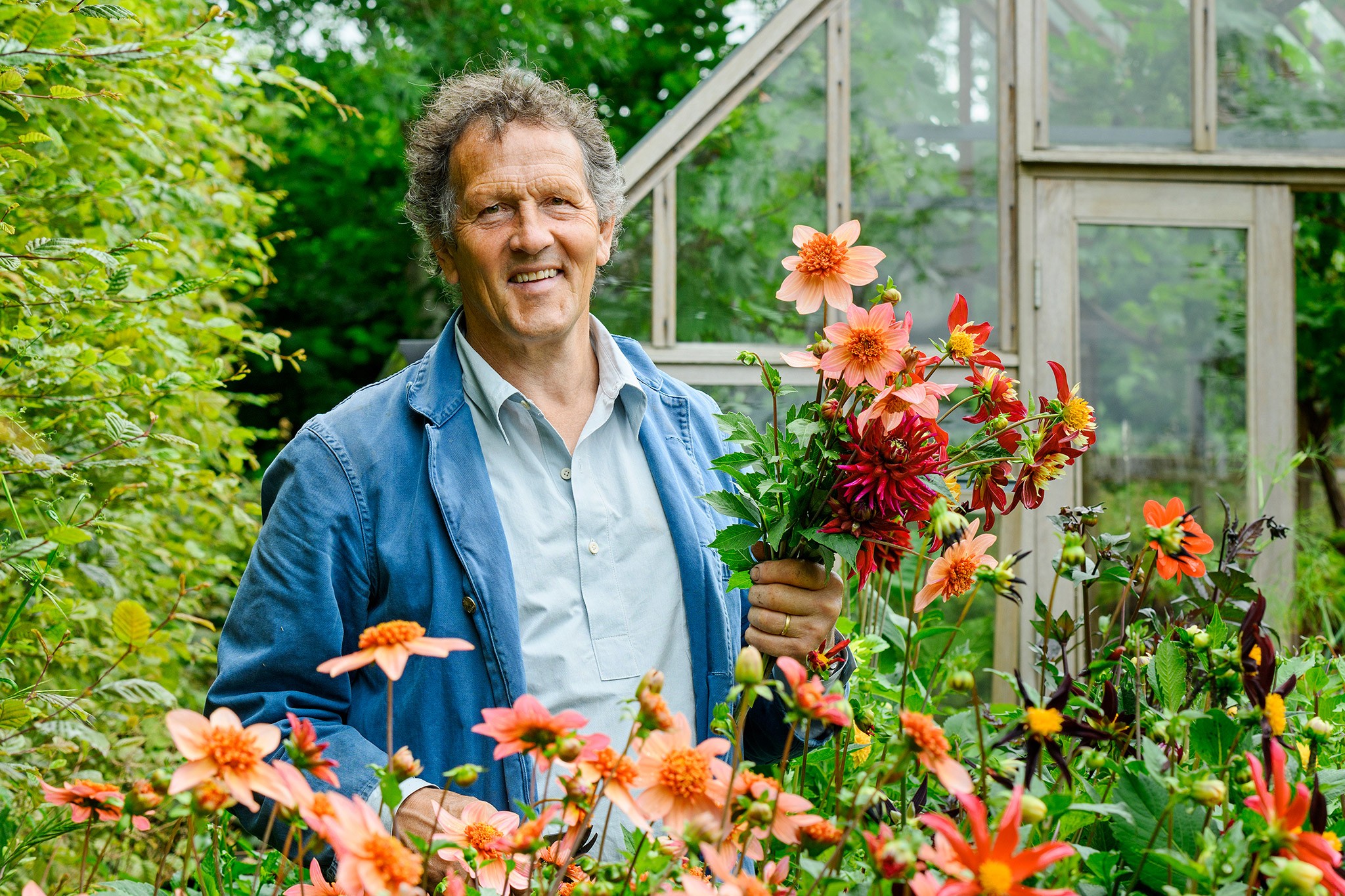 Monty and dahlias Monty and dahlias