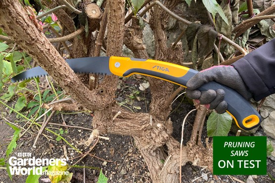 Pruning saws reviews page opening image