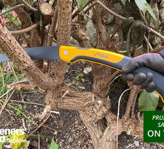 Pruning saws reviews page opening image