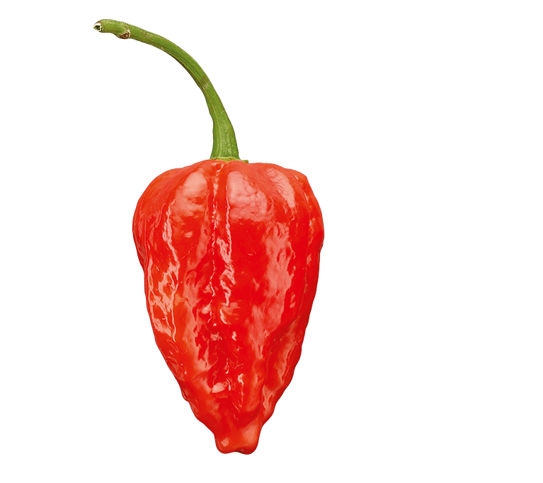 Red chilli