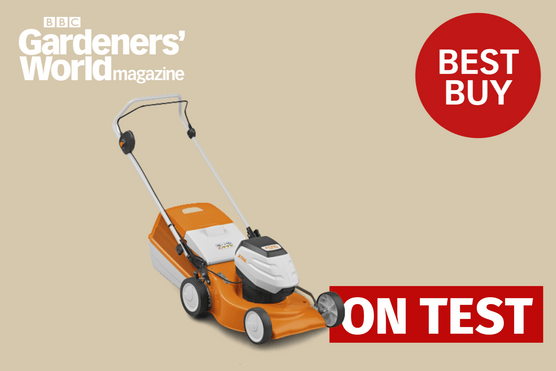 Stihl RMA 248 Cordless Mower