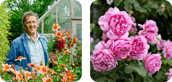 Supporting images Image of Monty Don with flowers and of garden roses