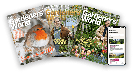 Group 83 Image of magazine covers and the mobile and tablet app