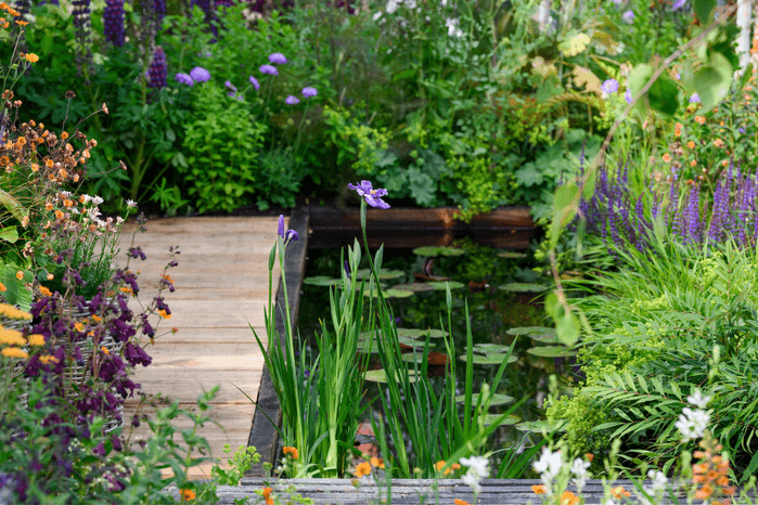 show garden pond at bbc gardeners' world live